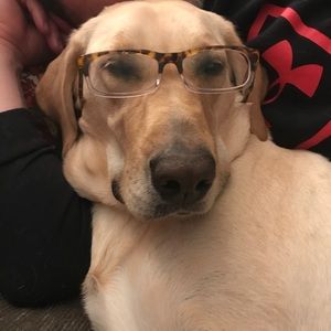 Meet your Posher, Abby